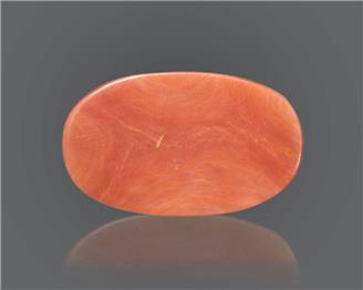 Natural Coral  14.38RTS-18605